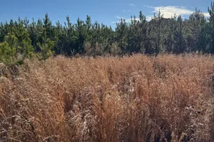 Tbd S Ulmer Rd, Fairfax, SC 29827 - Photo 1