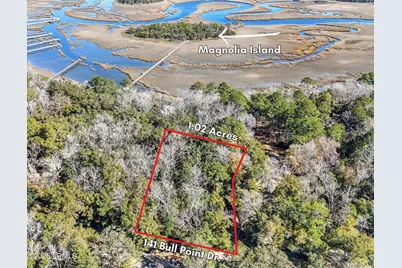 141 Bull Point Drive, Seabrook, SC 29940 - Photo 1
