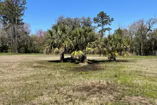 38 Meadowbrook Dr S, Beaufort, SC 29907 - Photo 1