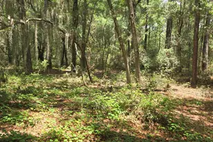 Tbd McLane St, Saint Helena Island, SC 29920 - Photo 1