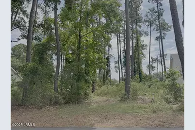 251 Locust Fence Road, Saint Helena Island, SC 29920 - Photo 1