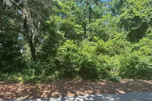 454 BB Sams Dr, Saint Helena Island, SC 29920 - Photo 1