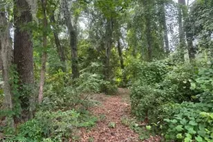 710 N Reeve Rd, Saint Helena Island, SC 29920 - Photo 1