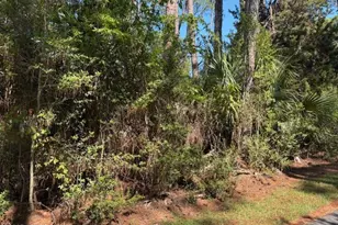 21 Lakeview Ln, Saint Helena Island, SC 29920 - Photo 1
