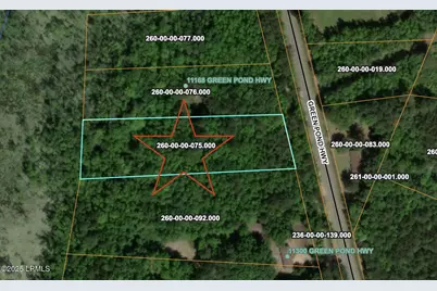 Tbd Green Pond, Green Pond, SC 29446 - Photo 1