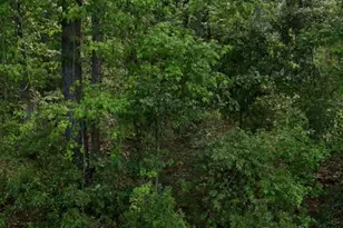 1492 Trask Pkwy, Seabrook, SC 29940 - Photo 1