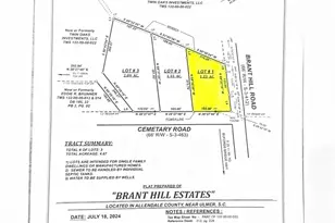 3595 Cemetary Rd, Ulmer, SC 29849 - Photo 1