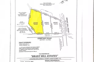 3569 Cemetary Rd, Ulmer, SC 29849 - Photo 1