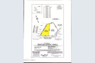 239 Brant Hill Road, Ulmer, SC 29849 - Photo 1