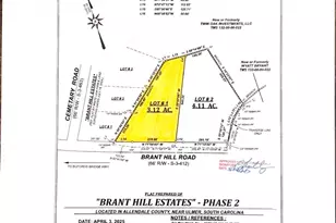 239 Brant Hill Rd, Ulmer, SC 29849 - Photo 1