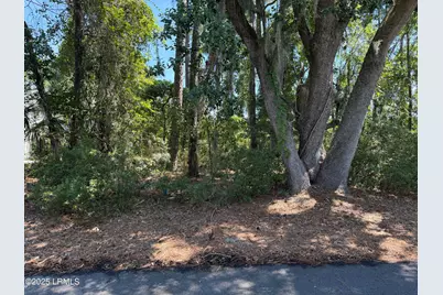 253 Locust Fence Road, Saint Helena Island, SC 29920 - Photo 1