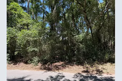 1507 Spring Well Road, Saint Helena Island, SC 29920 - Photo 1