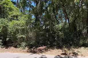 1507 Spring Well Rd, Saint Helena Island, SC 29920 - Photo 1