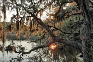 2214 Moss St, Beaufort, SC 29902 - Photo 1