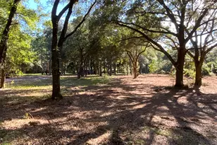 20 Tropicana Rd, Saint Helena Island, SC 29920 - Photo 1