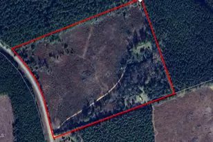 551 Gravel Hill Rd, Allendale, SC 29810 - Photo 1