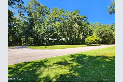 115 Barnaby Bluff, Seabrook, SC 29940 - Photo 1