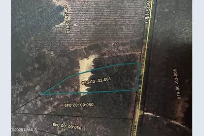 Tbd Gillison Branch Road, Ridgeland, SC 29936 - Photo 1