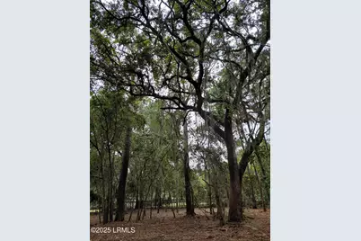 21 Fort Fremont Court N, Saint Helena Island, SC 29920 - Photo 1