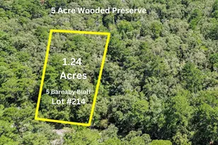 5 Barnaby Blf, Seabrook, SC 29940 - Photo 1