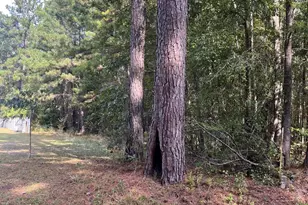 5351 Tillman Rd, Ridgeland, SC 29936 - Photo 1