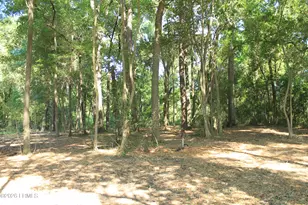 25 Meridian Rd, Beaufort, SC 29907 - Photo 1