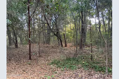 33 Pearl Harbor Drive, Saint Helena Island, SC 29920 - Photo 1