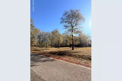 215 County Road S-25-314, Varnville, SC 29944 - Photo 1
