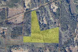 250 Wimbee Landing Rd, Seabrook, SC 29940 - Photo 1