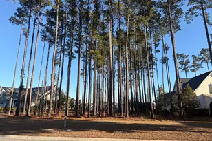 152 Flatwater Dr, Bluffton, SC 29910 - Photo 1