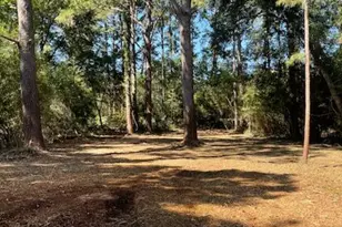 49 Dolphin Point Dr, Beaufort, SC 29907 - Photo 1