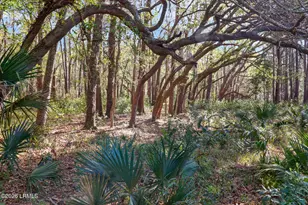 1 Canters Ct, Bluffton, SC 29910 - Photo 1