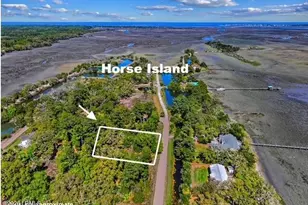 66 Harbor River Cir, Saint Helena Island, SC 29920 - Photo 1