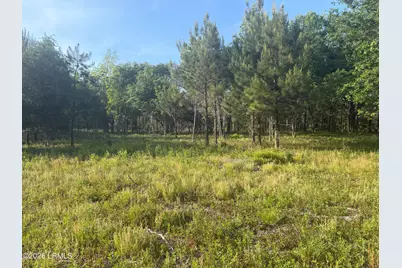 177 Spann Circle, Seabrook, SC 29940 - Photo 1