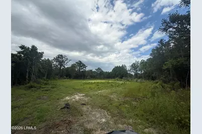 Tbd Bellinger Hill Road, Hardeeville, SC 29927 - Photo 1