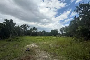 0 Bellinger Hill Rd, Hardeeville, SC 29927 - Photo 1