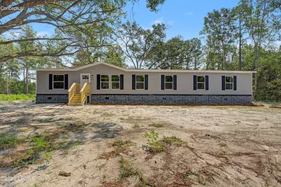 361 Gassie Orr Road, Pineland, SC 29934 - Photo 1