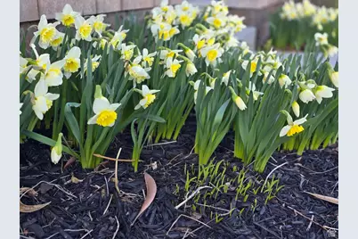 114 W Inverkeithing Dr S, South Salt Lake, UT 84115 - Photo 1