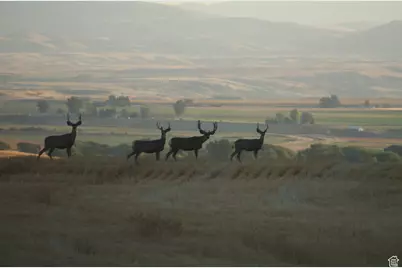 4800 S 5400 W, Weston, ID 83286 - Photo 1