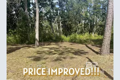 24875 Miflin Road, Elberta, AL 36530 - Photo 1