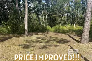 24875 Miflin Rd, Elberta, AL 36530 - Photo 1