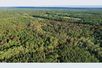 0 Pleasant Hill Road, Century, FL 32535 - Photo 3