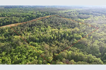 0 Pleasant Hill Road, Century, FL 32535 - Photo 1