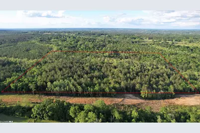 0 Pleasant Hill Road, Century, FL 32535 - Photo 9