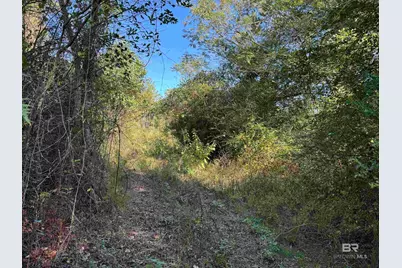 0 Pleasant Hill Road, Century, FL 32535 - Photo 5