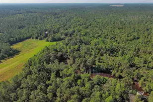 19755 Vaughn Rd, Seminole, AL 36574 - Photo 45