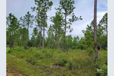 39449 S State Highway 59, Bay Minette, AL 36507 - Photo 5