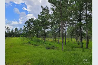 39449 S State Highway 59, Bay Minette, AL 36507 - Photo 7