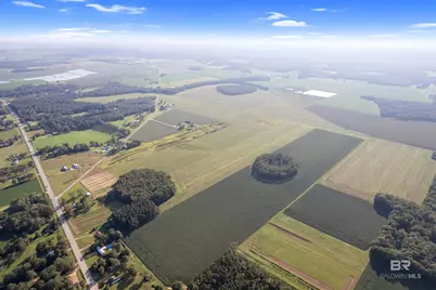 5700 Block Pine Forest Road, Walnut Hill, FL 32568 - Photo 5