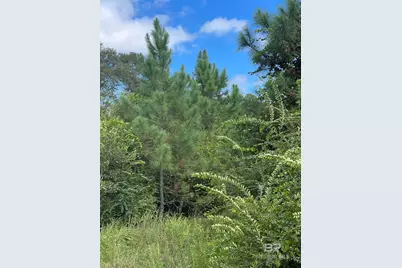 5700 Block Pine Forest Road, Walnut Hill, FL 32568 - Photo 7